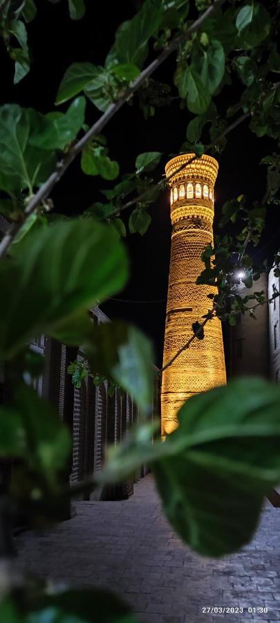 فندق بخارىفي  Nasyuqel المظهر الخارجي الصورة